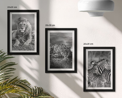 Modern keretezett kép szett A szavanna vadállatai: oroszlán, jaguár és zebra