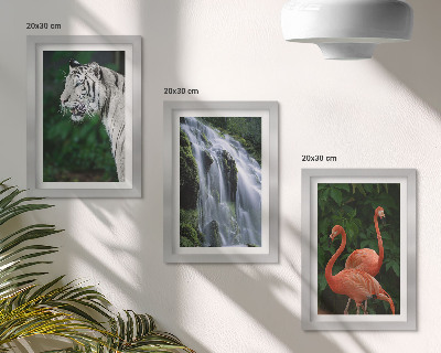 Modern keretezett kép szett Tigris-vízesés és rózsaszín flamingók a természetben