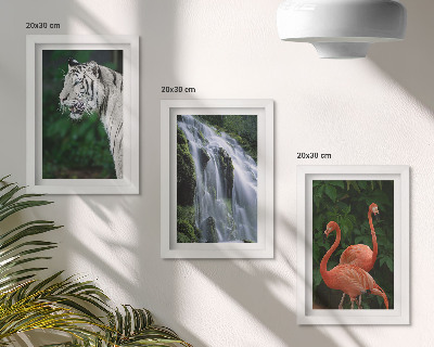 Modern keretezett kép szett Tigris-vízesés és rózsaszín flamingók a természetben