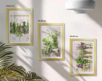 Konyhai növények és fűszernövények szárítása keretezett triptichon