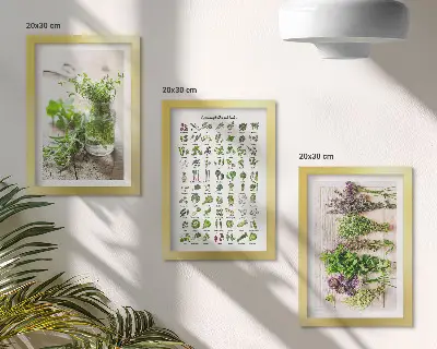 Szárított növények triptichon konyhai fűszernövények témájú keretezett kép