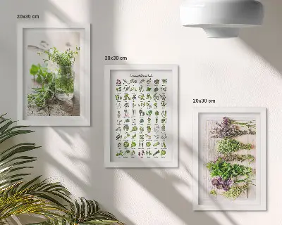 Szárított növények triptichon konyhai fűszernövények témájú keretezett kép