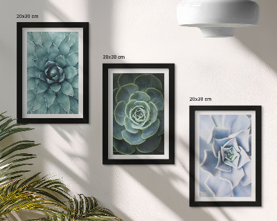 Modern keretezett kép szett Pozsgás növények zöld és türkiz árnyalatokban