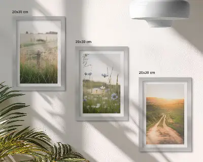 Modern keretezett képszett természeti táj mezőkkel és napsütötte ösvénnyel