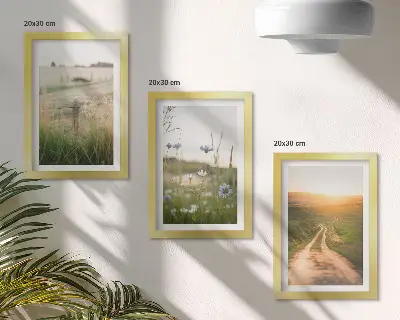 Modern keretezett képszett természeti táj mezőkkel és napsütötte ösvénnyel