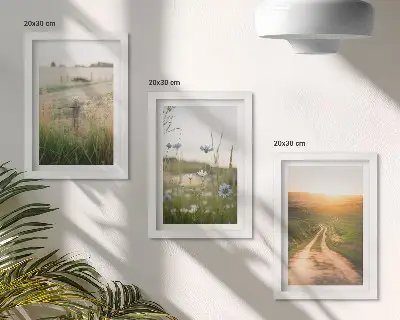 Modern keretezett képszett természeti táj mezőkkel és napsütötte ösvénnyel