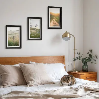 Modern keretezett képszett természeti táj mezőkkel és napsütötte ösvénnyel