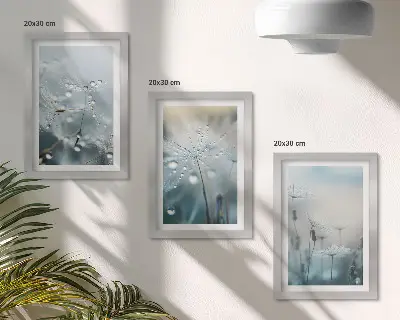 Modern keretezett képszett harmatcseppek a finom pitypangokon mintával