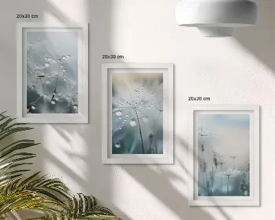 Modern keretezett képszett harmatcseppek a finom pitypangokon mintával