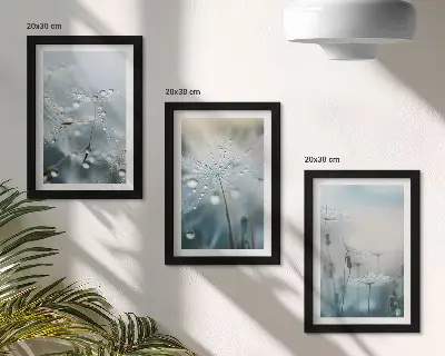 Modern keretezett képszett harmatcseppek a finom pitypangokon mintával