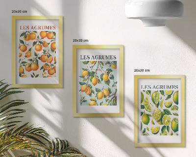 Modern keretezett kép szett Gyümölcsös citrusos minták pasztell színekben