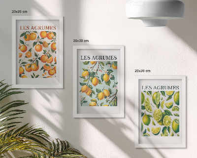 Modern keretezett kép szett Gyümölcsös citrusos minták pasztell színekben