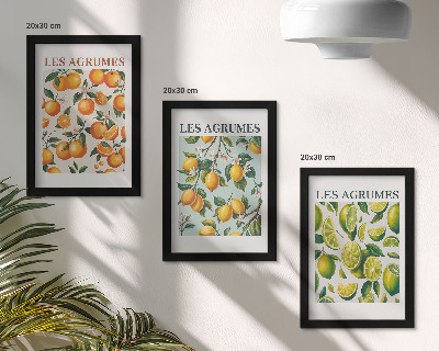 Modern keretezett kép szett Gyümölcsös citrusos minták pasztell színekben