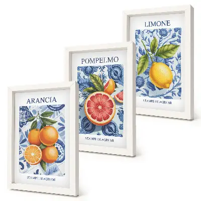 Vintage citrusfélék illusztrációk modern keretezett képszett