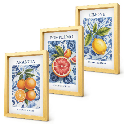 Modern keretezett kép szett Vintage citrusfélék illusztrációk