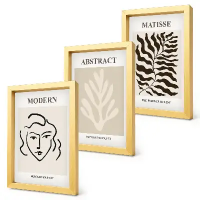 Modern keretezett képszett Henri Matisse arc- és levélillusztrációival
