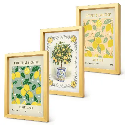 Citrusfa és gyümölcs mintás plakátszett modern keretezett kivitelben