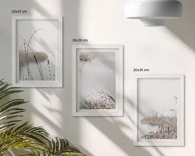 Modern keretezett képszett vízi növényzet finom nyári kilátással
