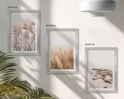 Modern keretezett képszett pampa füves mezők és bohém strand mintával