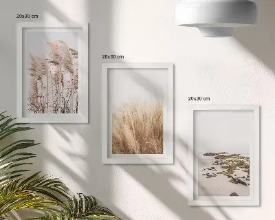 Modern keretezett képszett pampa füves mezők és bohém strand mintával
