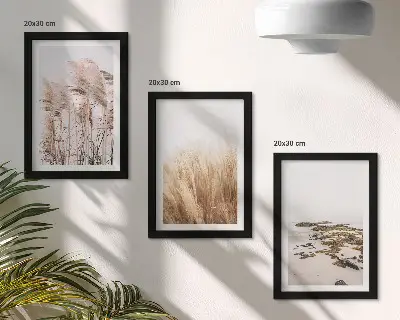 Modern keretezett képszett pampa füves mezők és bohém strand mintával