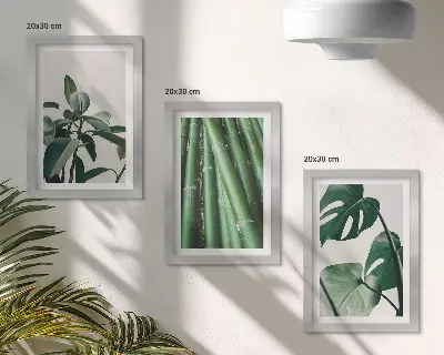 Modern keretezett képszett bambuszszárak és szörnyeteglevél mintával