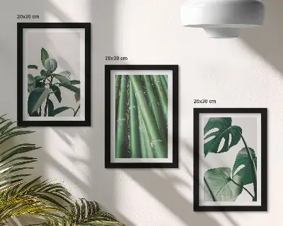 Modern keretezett képszett bambuszszárak és szörnyeteglevél mintával