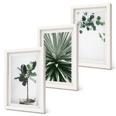 Modern keretezett kép szett Zöld növények minimalista stílusban