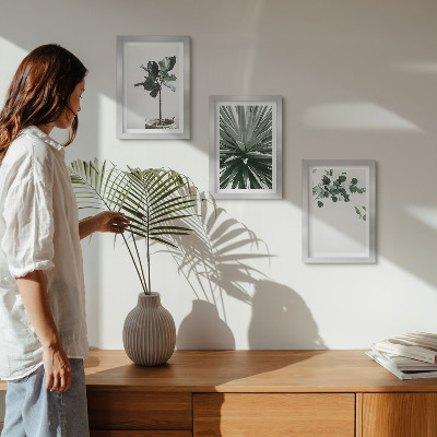 Modern keretezett kép szett Zöld növények minimalista stílusban