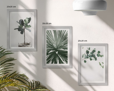 Modern keretezett kép szett Zöld növények minimalista stílusban