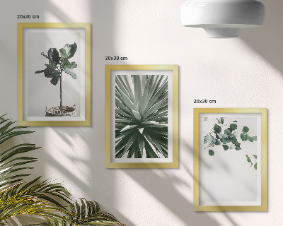 Modern keretezett kép szett Zöld növények minimalista stílusban
