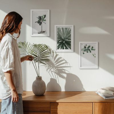 Modern keretezett kép szett Zöld növények minimalista stílusban