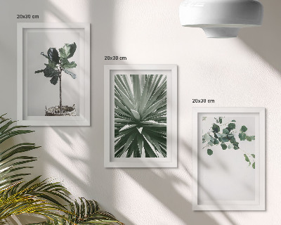 Modern keretezett kép szett Zöld növények minimalista stílusban
