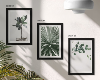 Modern keretezett kép szett Zöld növények minimalista stílusban