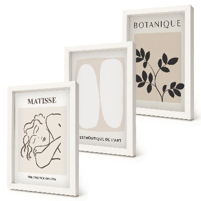 Keretezett triptichon Stílusos minimalista festmények növényi motívumokkal Matisse-tól