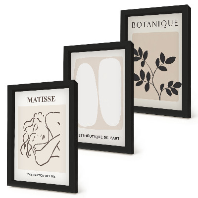 Keretezett triptichon Stílusos minimalista festmények növényi motívumokkal Matisse-tól
