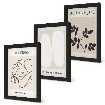 Keretezett triptichon stílusos minimalista, növényi motívumokkal díszített Matisse-festmények