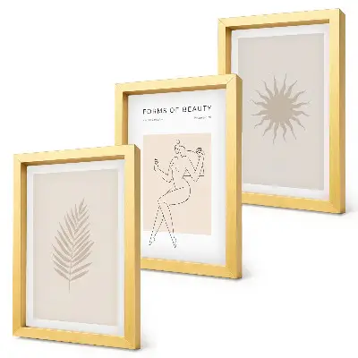Modern keretezett képszett minimalista és természetes formák gyűjteménye