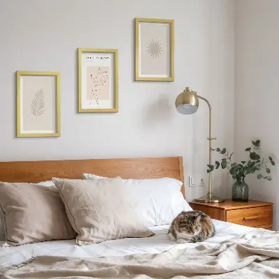 Modern keretezett képszett minimalista és természetes formák gyűjteménye