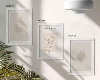 Modern keretezett képszett minimalista és természetes formák gyűjteménye