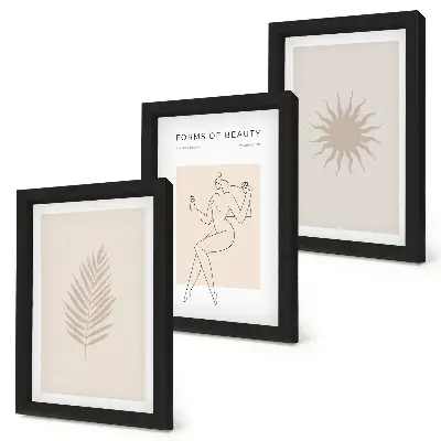 Modern keretezett képszett minimalista és természetes formák gyűjteménye