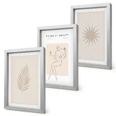Modern keretezett képszett minimalista és természetes formák gyűjteménye