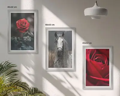 Fali dekorációs képszett vörös rózsák és szürke lovak