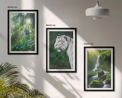 Dzsungel tigris vízesés mintás falikép keretezett szett hálószobába