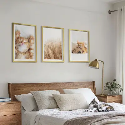 Keretezett képszett hálószobába aranyos bohém macskák és kutyák mintával