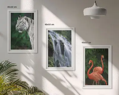 Fali dekorációs képszett tigris, vízesés és flamingó mintával