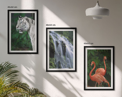 Fali dekoráció kép készlet Tigris vízesés flamingók természet