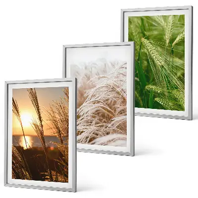 Színes füvek természet poszter keretezett képszett hálószobába