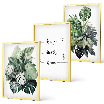 Keretezett kép szett hálószobába Akvarell Monstera levelek