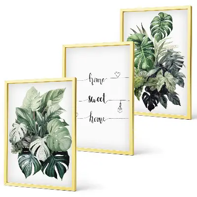 Akvarell Monstera levelek kép szett keretezett változat hálószobába